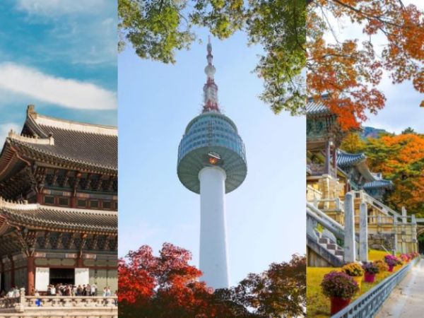 trips to south korea (2)